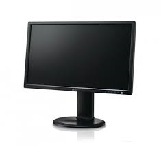 Monitor LG 20" - LCD - E2011P